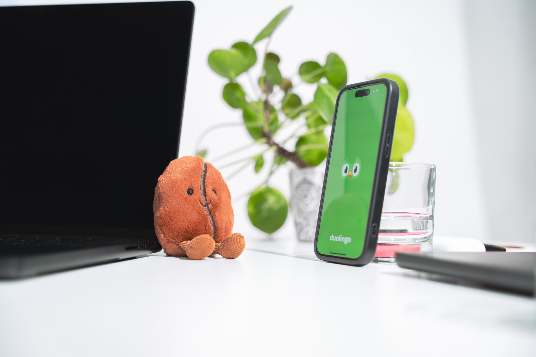 Eine Schreibtischecke mit einem offenen MacBook, daneben ein sitzendes braunes Plüschtier (Amuseables Coffee Bean Jellycat) in Form einer Kaffeebohne mit Gesicht. Rechts steht ein Smartphone aufrecht, auf dessen Display das grüne Eulen-Logo der Duolingo-App auf grünem Hintergrund zu sehen ist. Im Hintergrund eine Pilea-Pflanze. Brand Maskottchen Chitchat von SR-STUDIOS. | SR-STUDIOS
