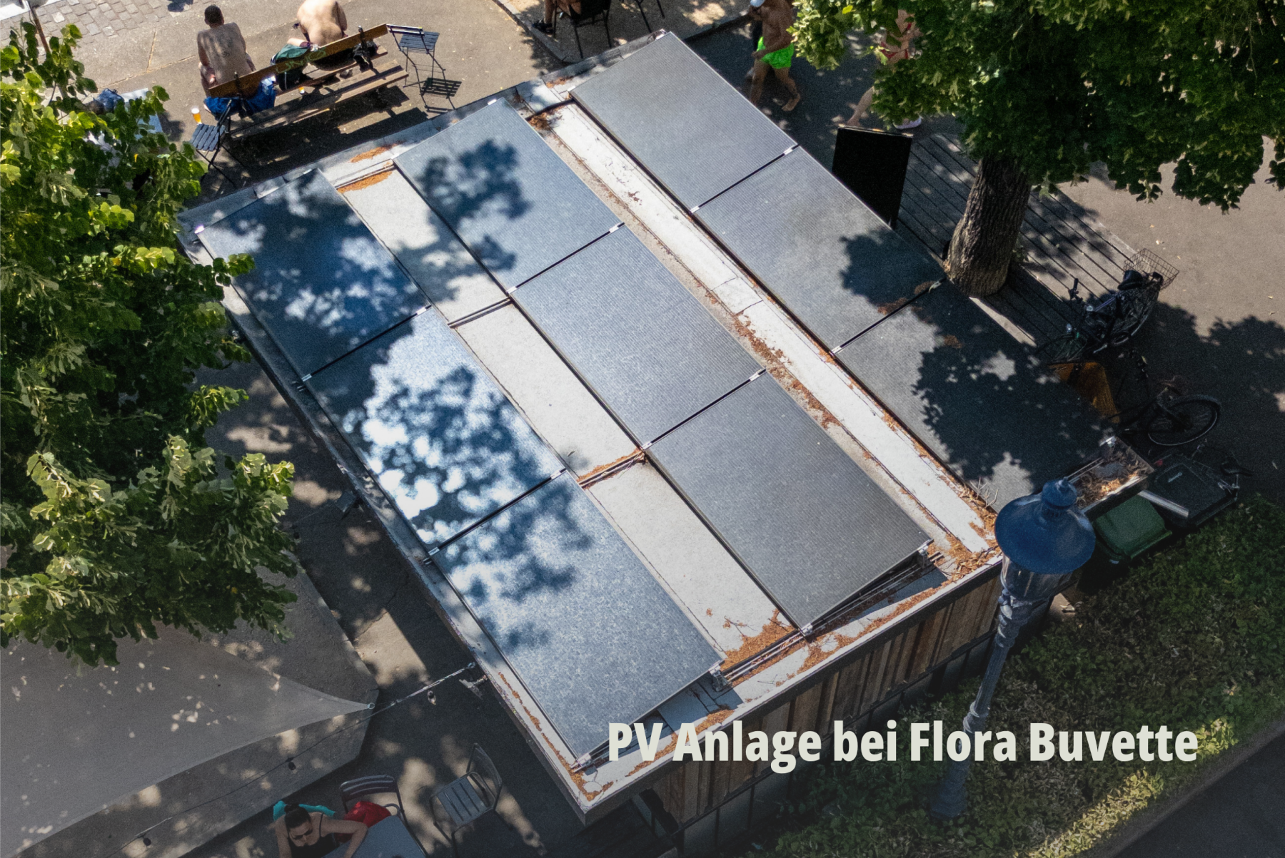 Draufsicht auf ein begrüntes Dach mit installierten Solarmodulen, umgeben von Bäumen; Fokus auf Nachhaltigkeit; Flora Buvette hat PV Anlage von Planeco GmbH. | SR-STUDIOS