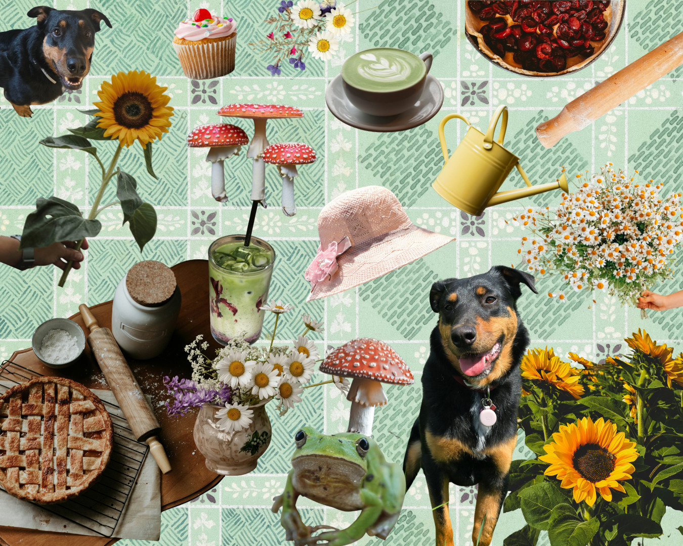 Buntes Moodboard mit grünem Hintergrund. Matcha, Hunde, Sonnenblumen, Pilze und ein Frosch. | SR-STUDIOS